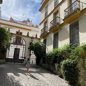 Centro-casco Antiguo -vidrio 36 Seville